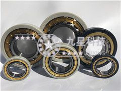 NU218EM/C3/VL0241 NU218EM/C3/VL0241