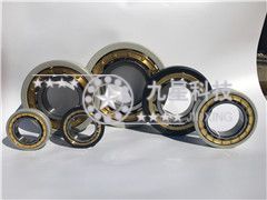 NU219EM/C3/VL0241 NU219EM/C3/VL0241