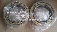 NU226EM/C3/VL0241 NU226EM/C3/VL0241